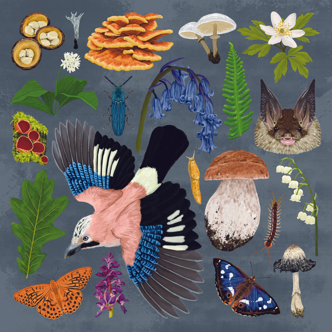 Exploring the Enchantment of Ancient Woodlands in the UK