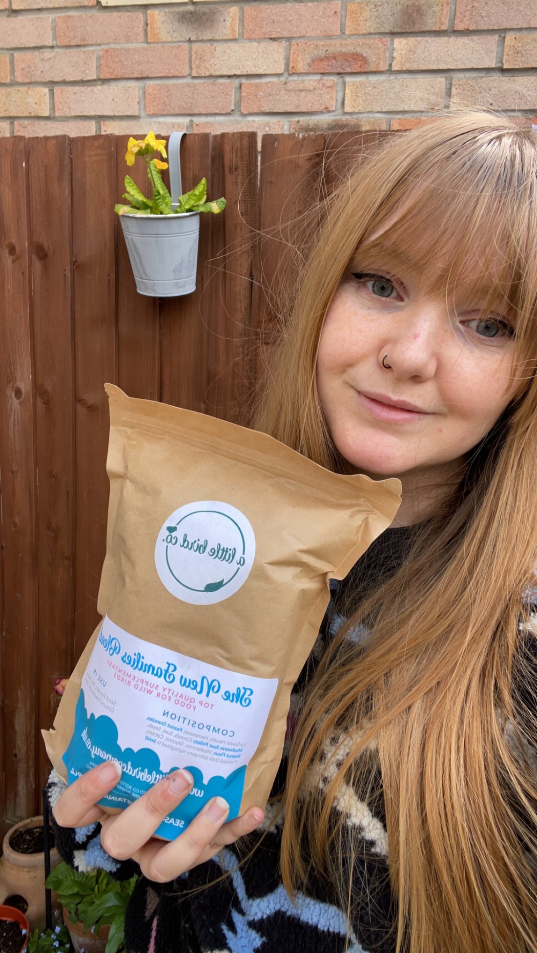 What Is The Best Seed For Wild Birds?