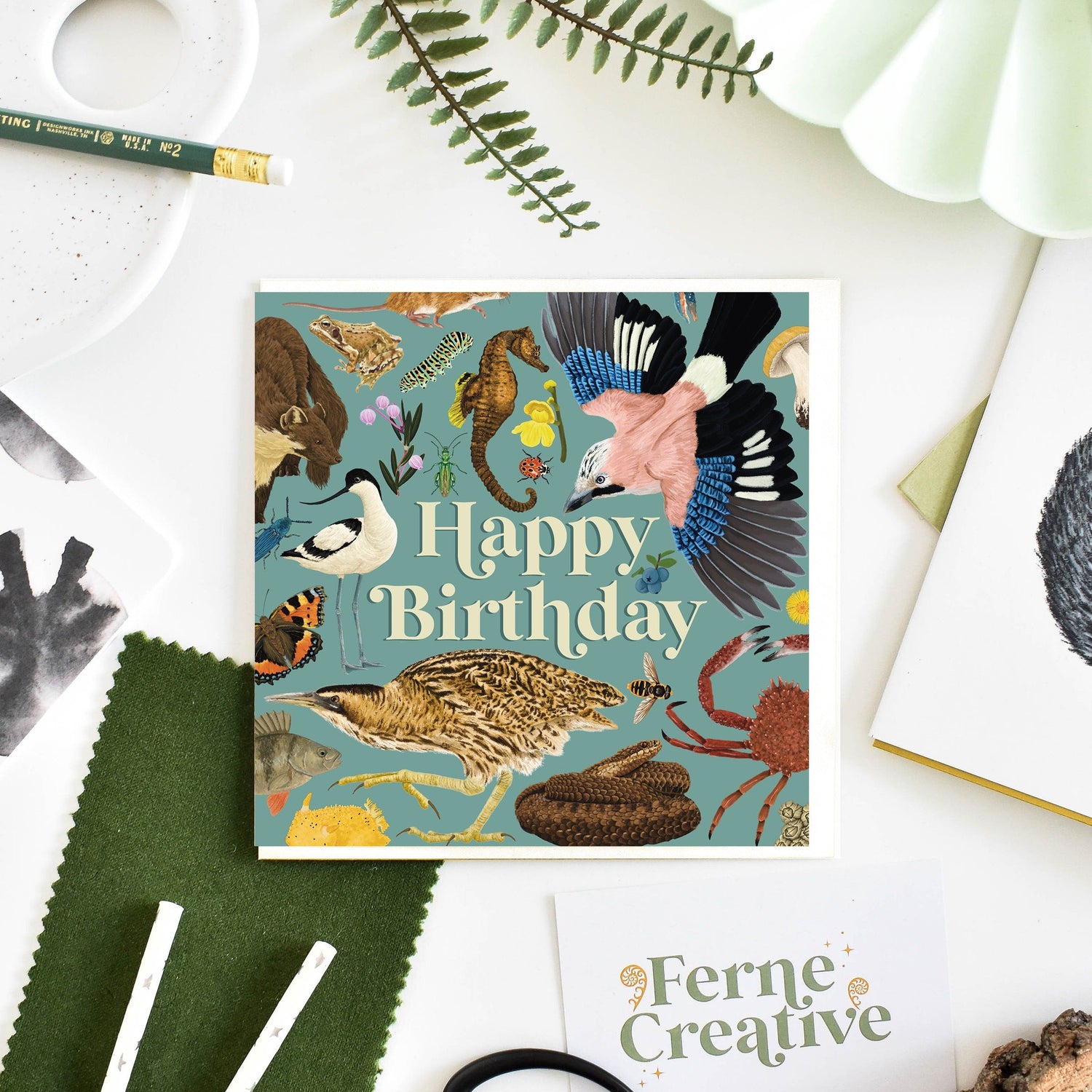 Wildlife Illustrated Cards
