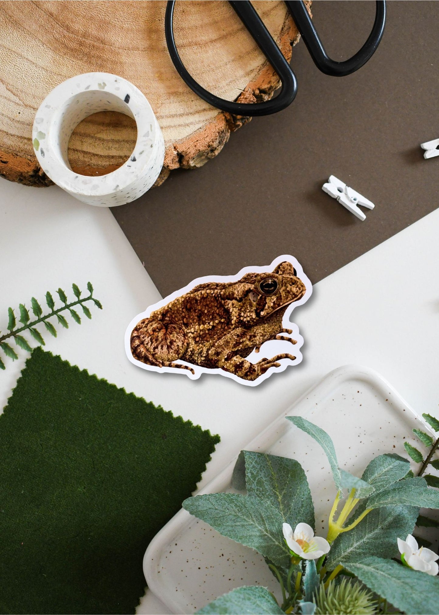 Common Toad Vinyl Sticker