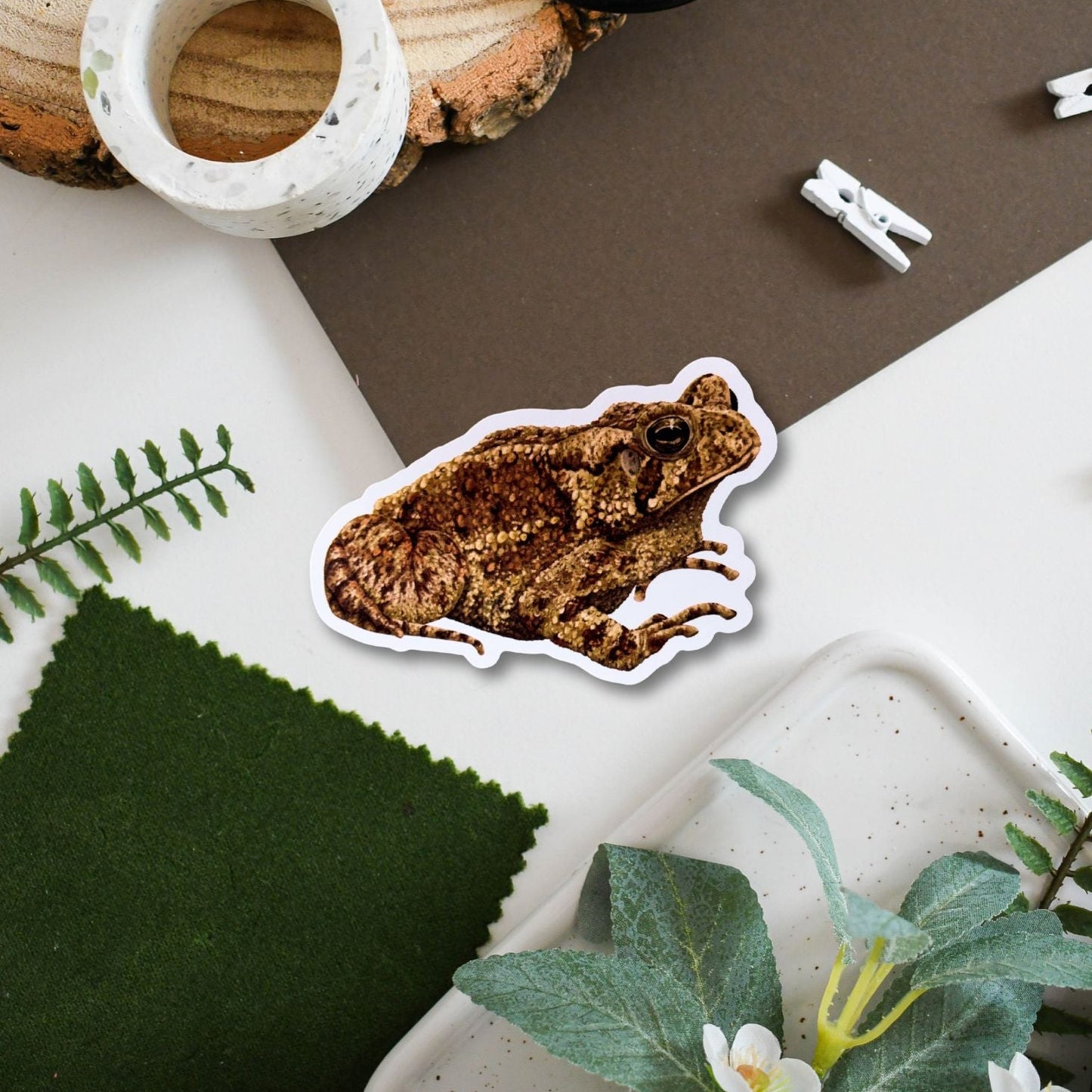 Sticker of a toad on a surface with plants and a wooden object.