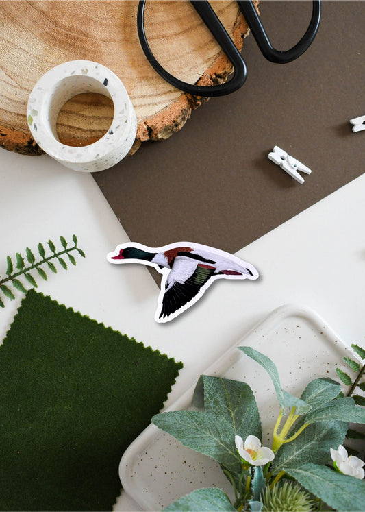 Shelduck Vinyl Sticker
