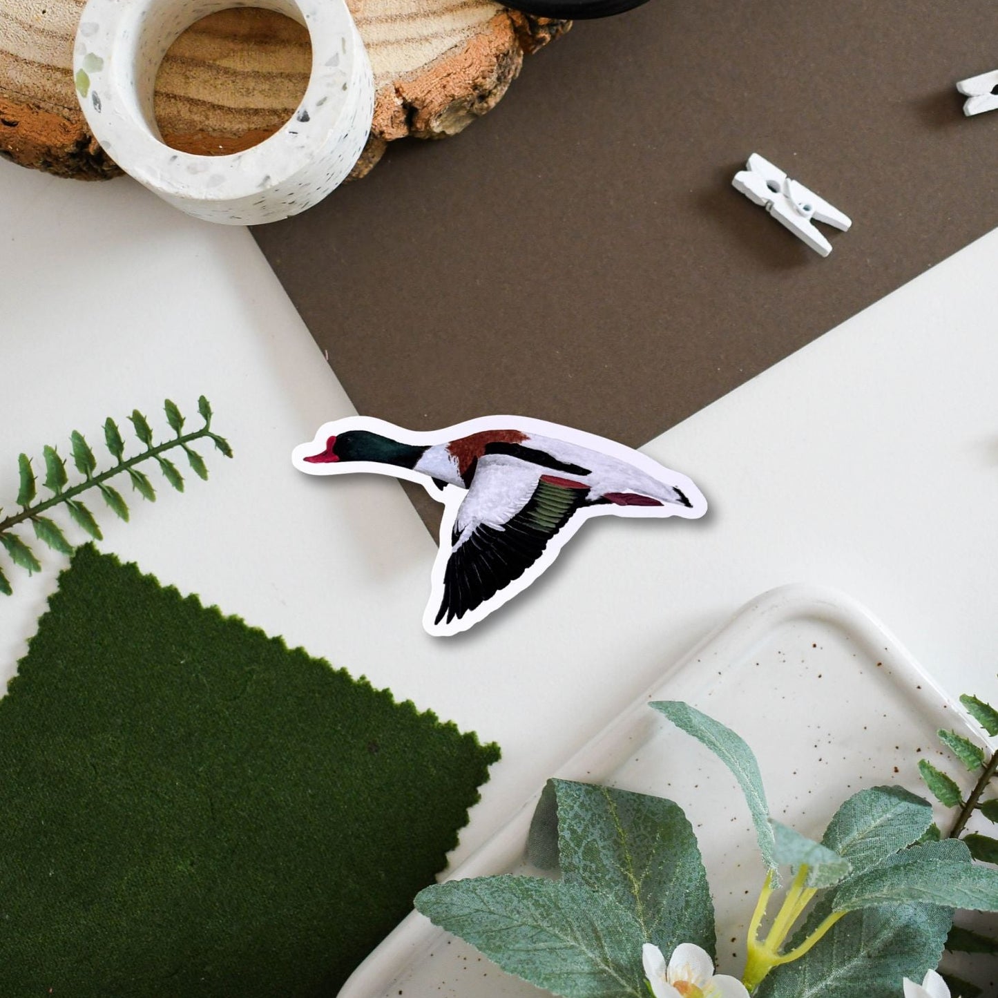 SHelduck sticker on a surface with natural elements