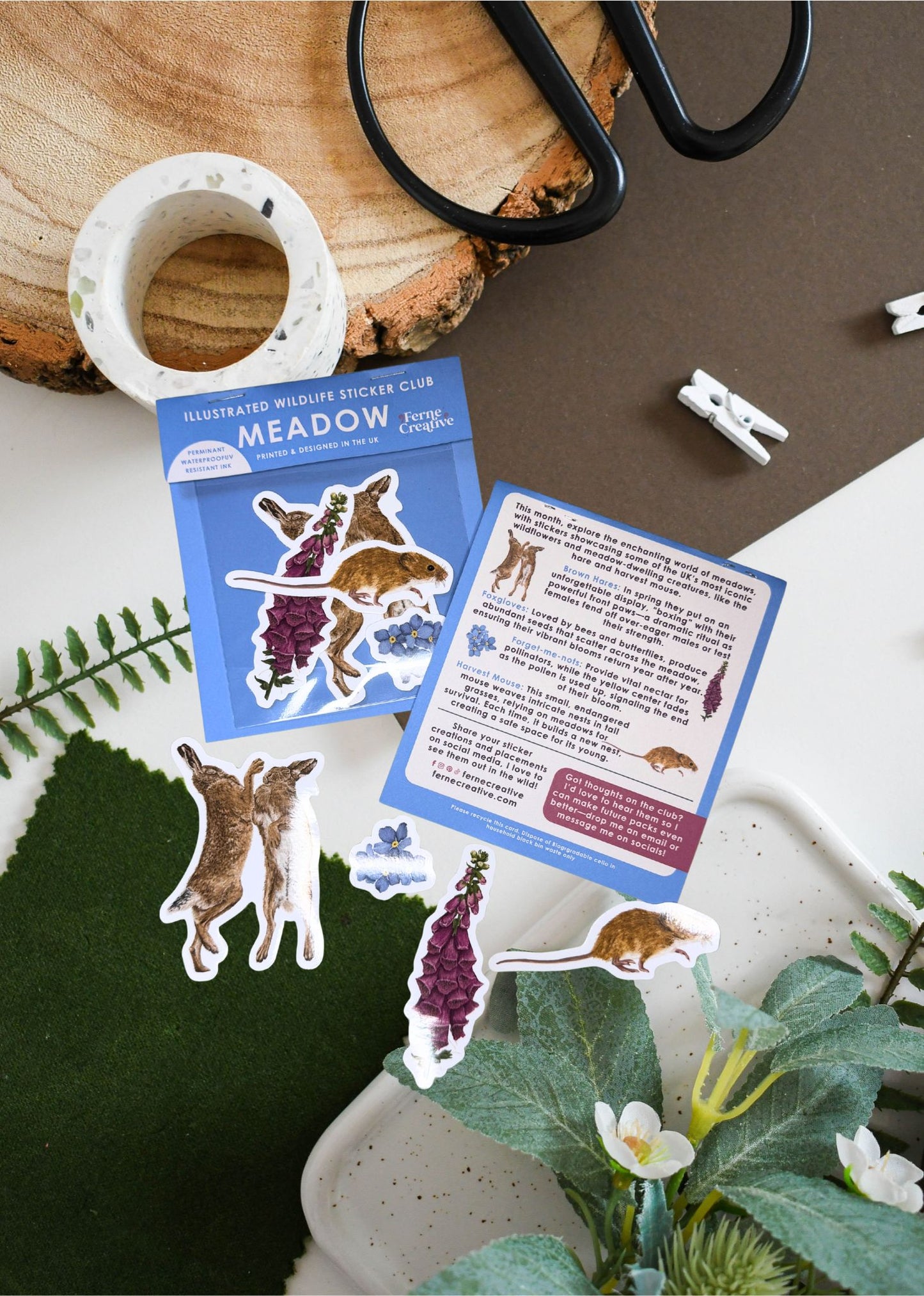 Past Sticker Subscription - April Meadow Wildlife