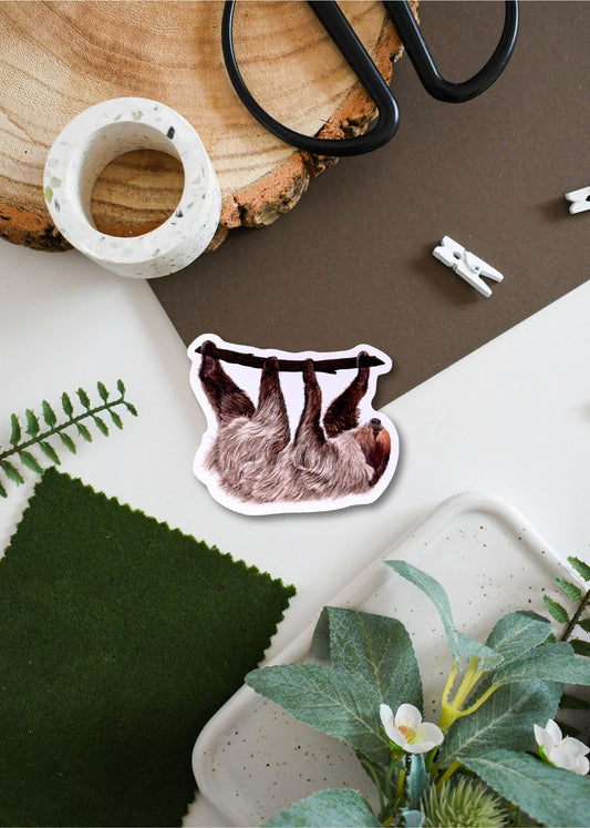 Linnaeus’s Two-Toed Sloth Vinyl Sticker