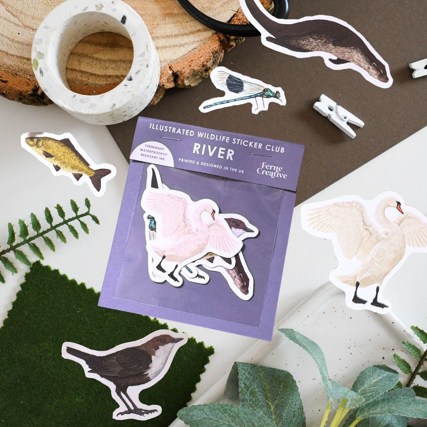 Illustrated wildlife sticker club with various stickers of river wildlife like otter, dipper, swan and carp on a natural background