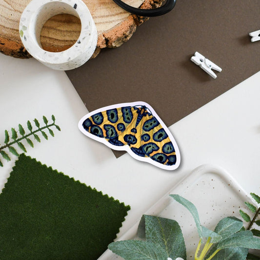 Decorative moth with leopard print design on a surface with plants and decor items.