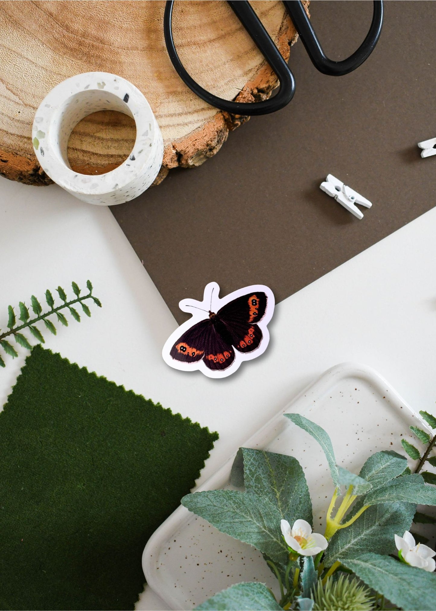 Scotch Argus Butterfly Vinyl Sticker