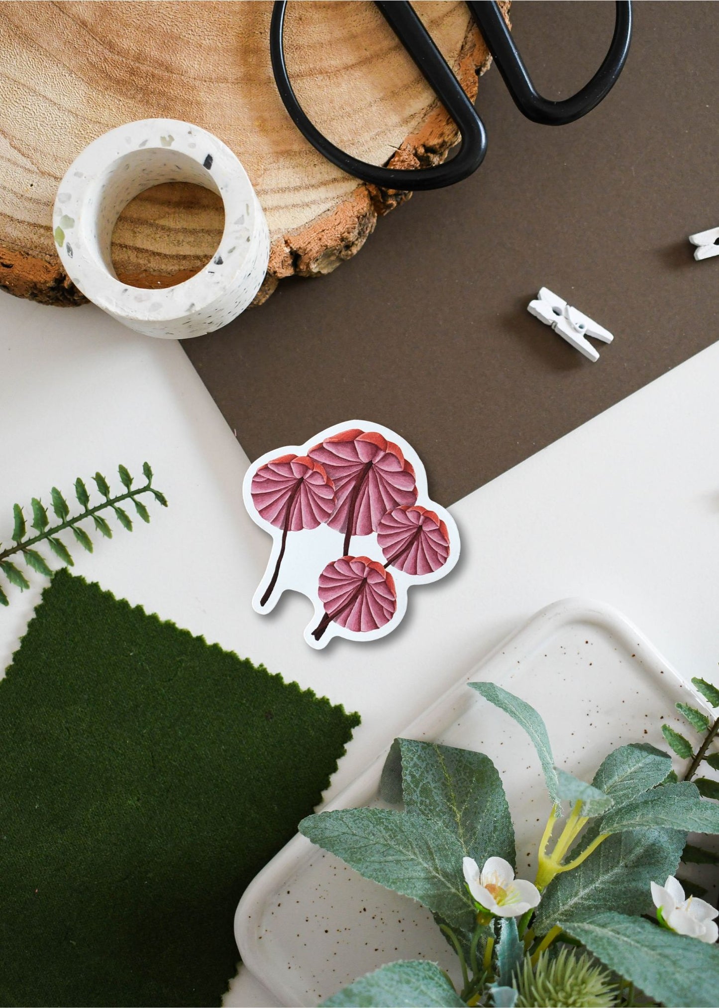 Bleeding Marasmius Mushrooms Vinyl Sticker