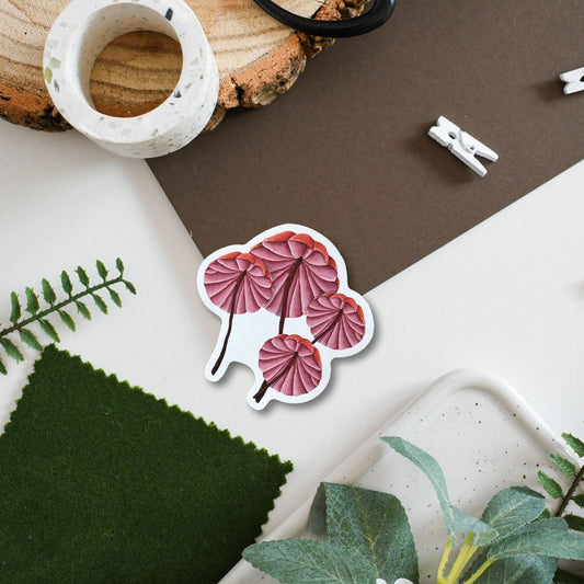 Bleeding Marasmius Mushrooms Vinyl Sticker
