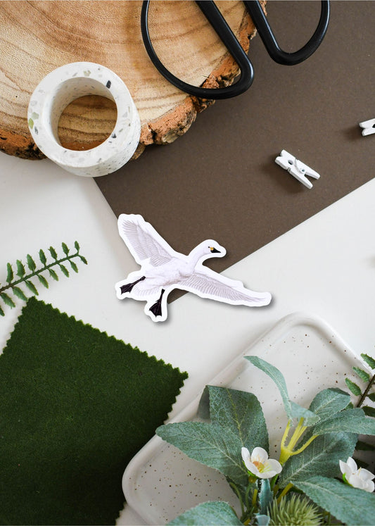 Bewick Swan Vinyl Sticker
