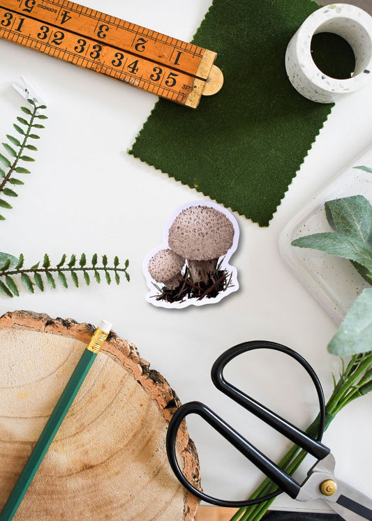 Puffball Mushroom Sticker