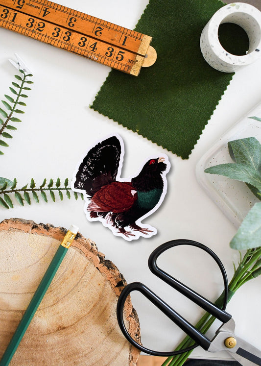 Male Capercaillie Vinyl Sticker