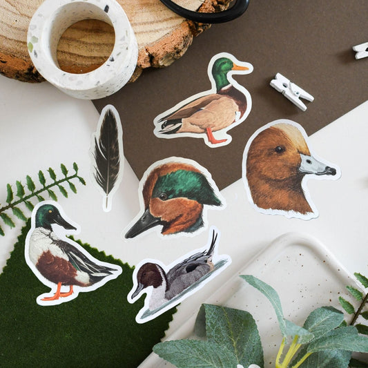 Set of duck-themed stickers on a natural background with plants and a wooden log.