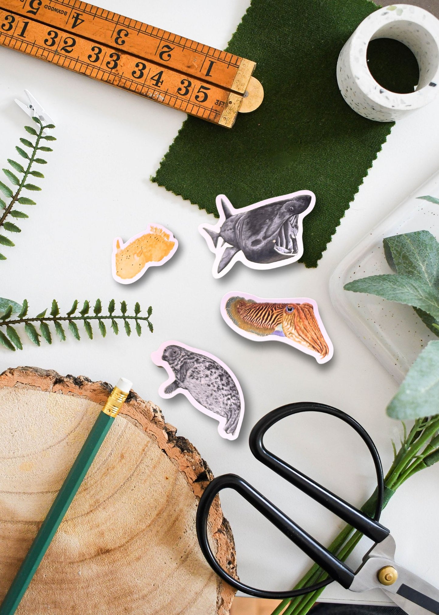 British Marine Wildlife Sticker Pack – July Edition