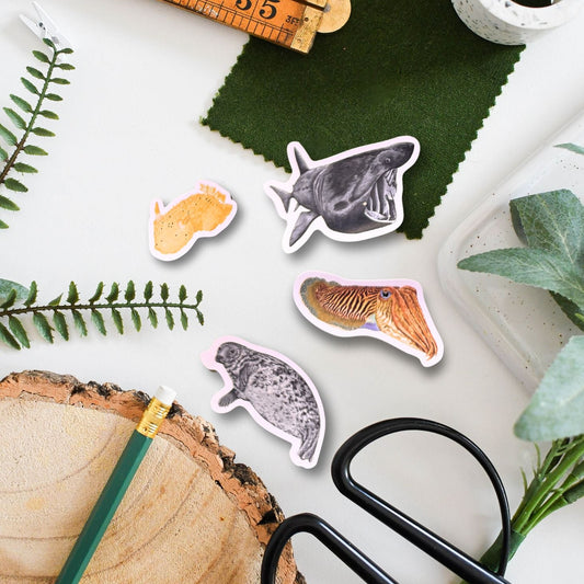 Stickers of animals on a surface with a ruler, scissors, and greenery.