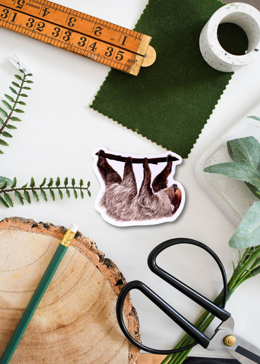 Linnaeus’s Two-Toed Sloth Vinyl Sticker