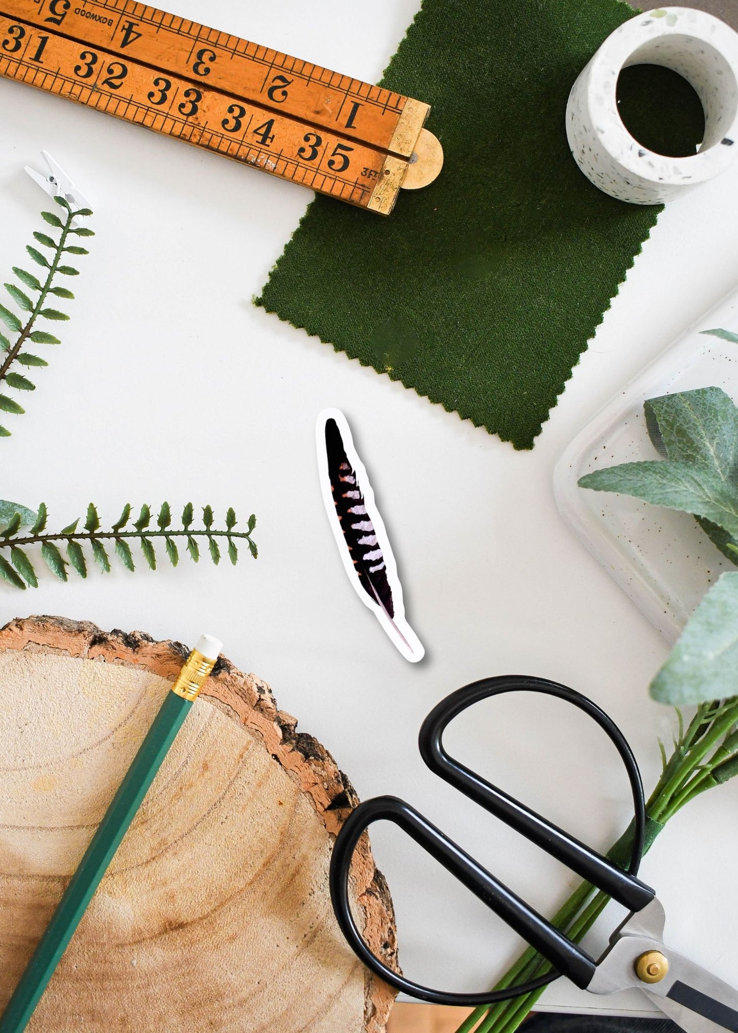 Vinyl-Aufkleber „Death Head Hawk-Moth“