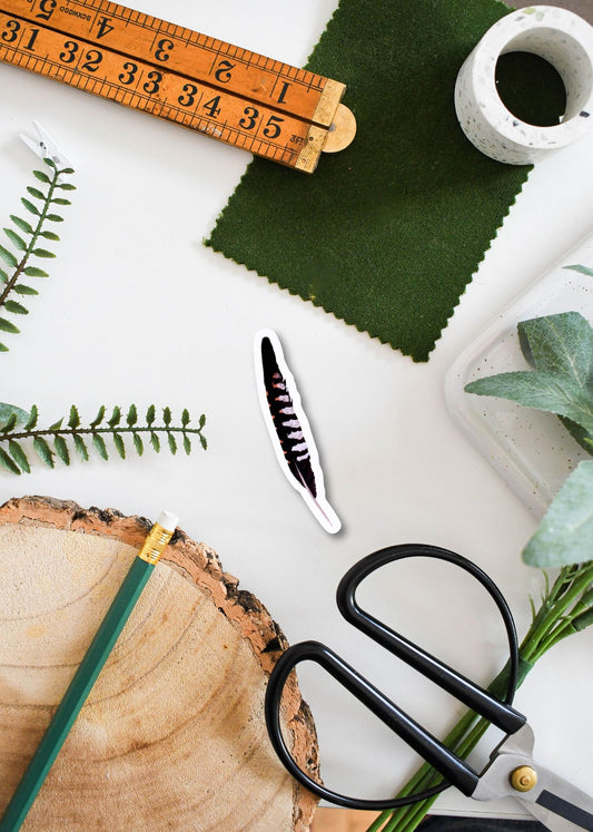 Common Cuckoo Feather Vinyl Sticker