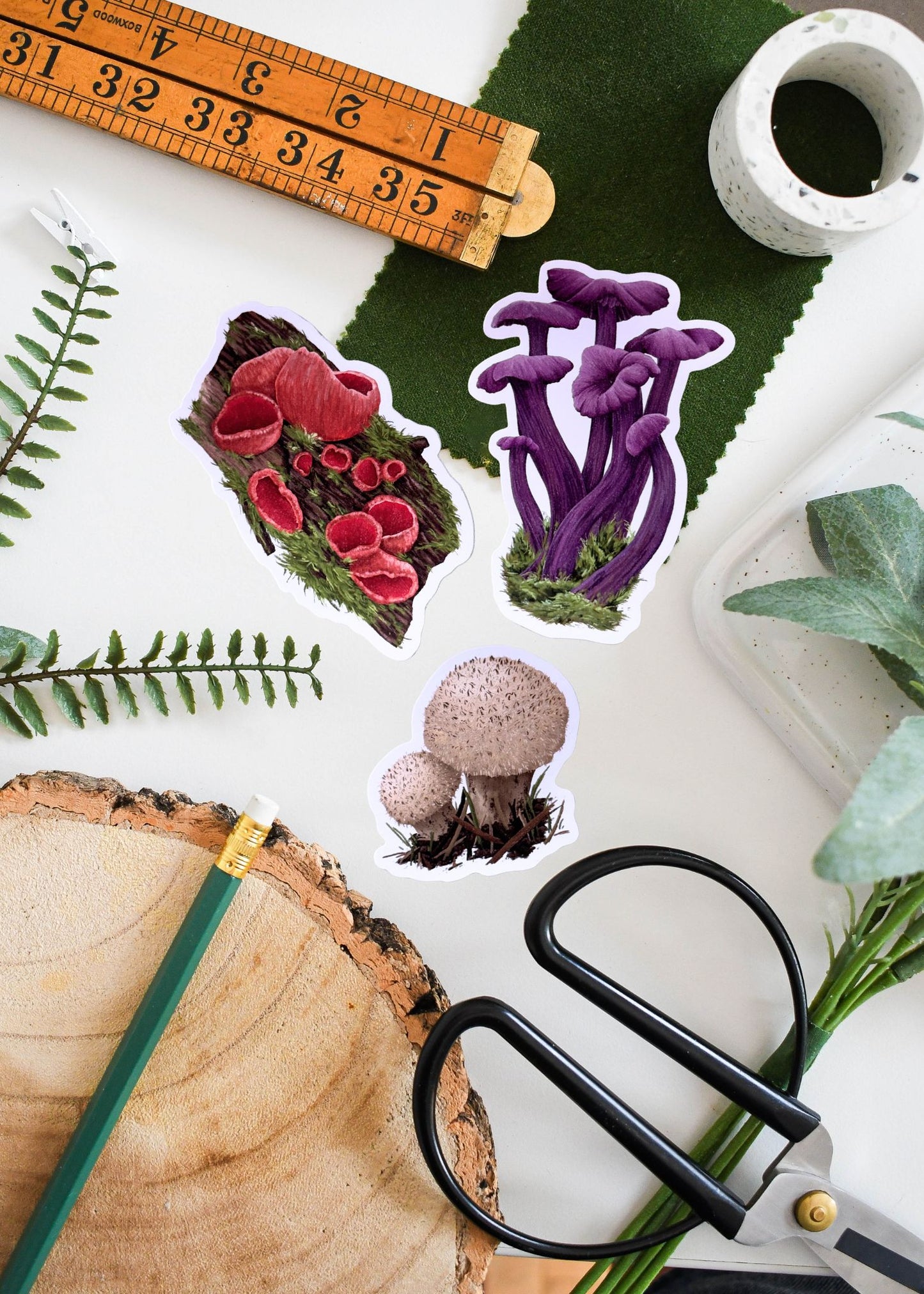 Fungi Vinyl Sticker Bundle