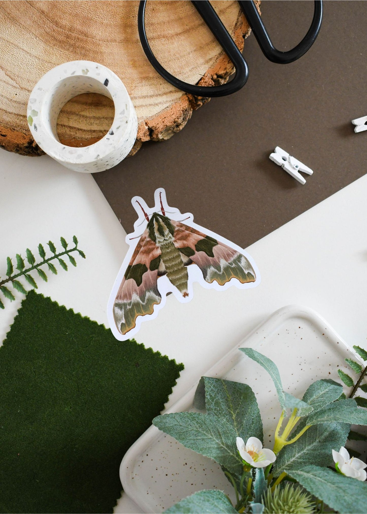 Lime Hawk-Moth Vinyl Sticker