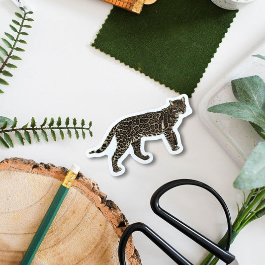 Sticker of a cat, green fabric swatch, scissors, and ruler on a white surface with green leaves.