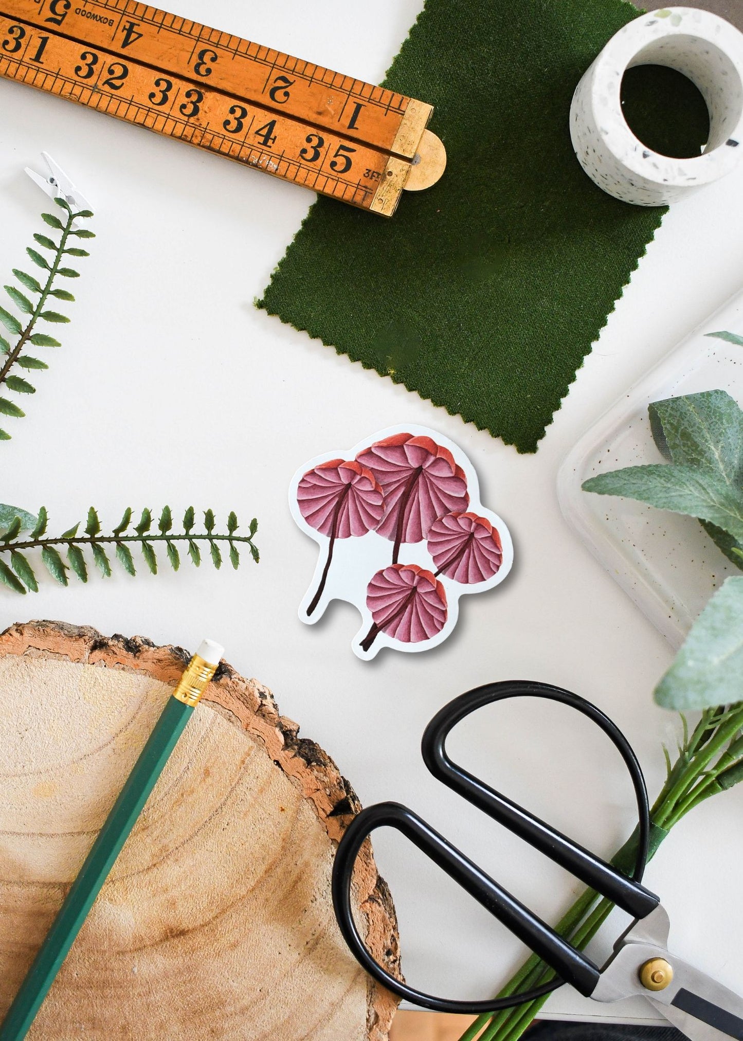 Bleeding Marasmius Mushrooms Vinyl Sticker