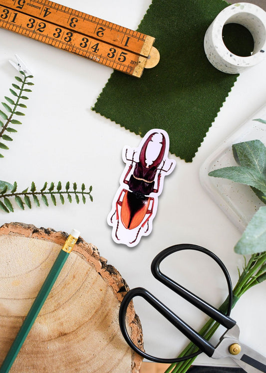 Scarab Beetle Vinyl Sticker