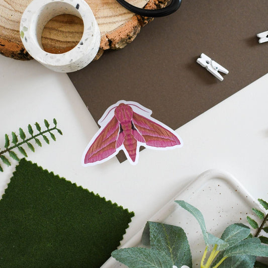 Pink butterfly sticker on a surface with natural elements