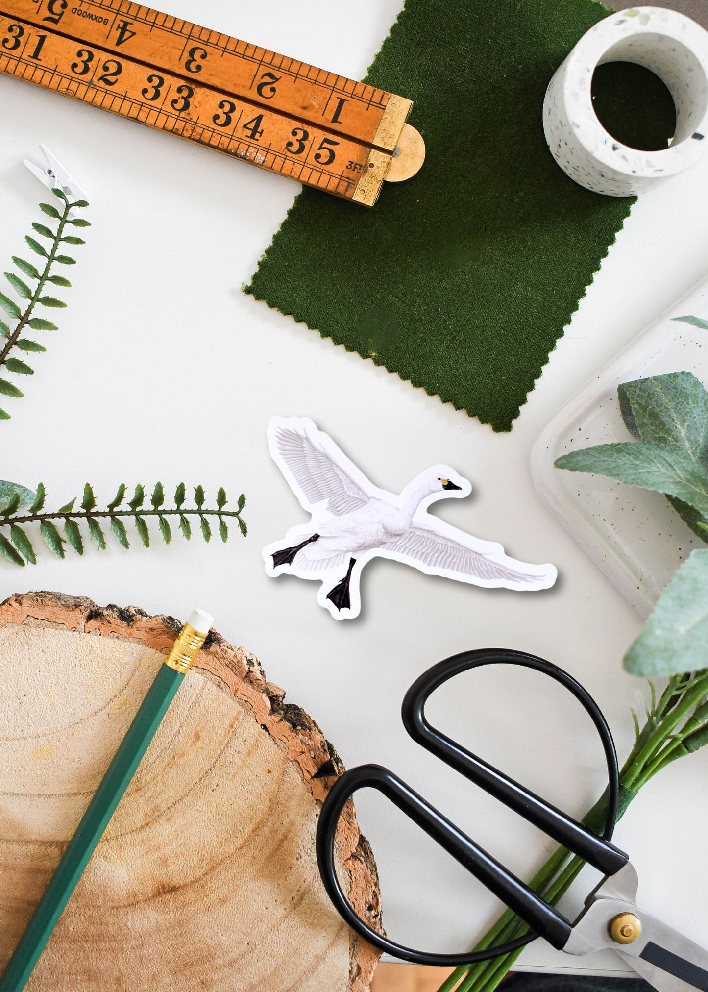 Vinyl-Aufkleber „Death Head Hawk-Moth“