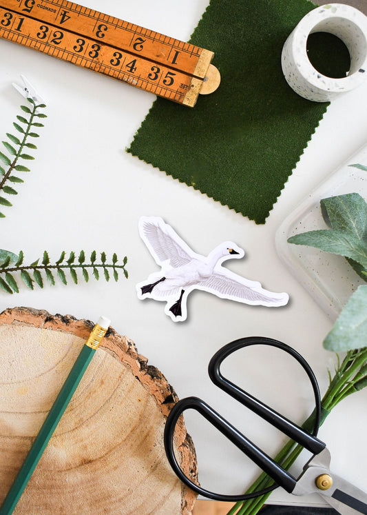 Bewick Swan Vinyl Sticker