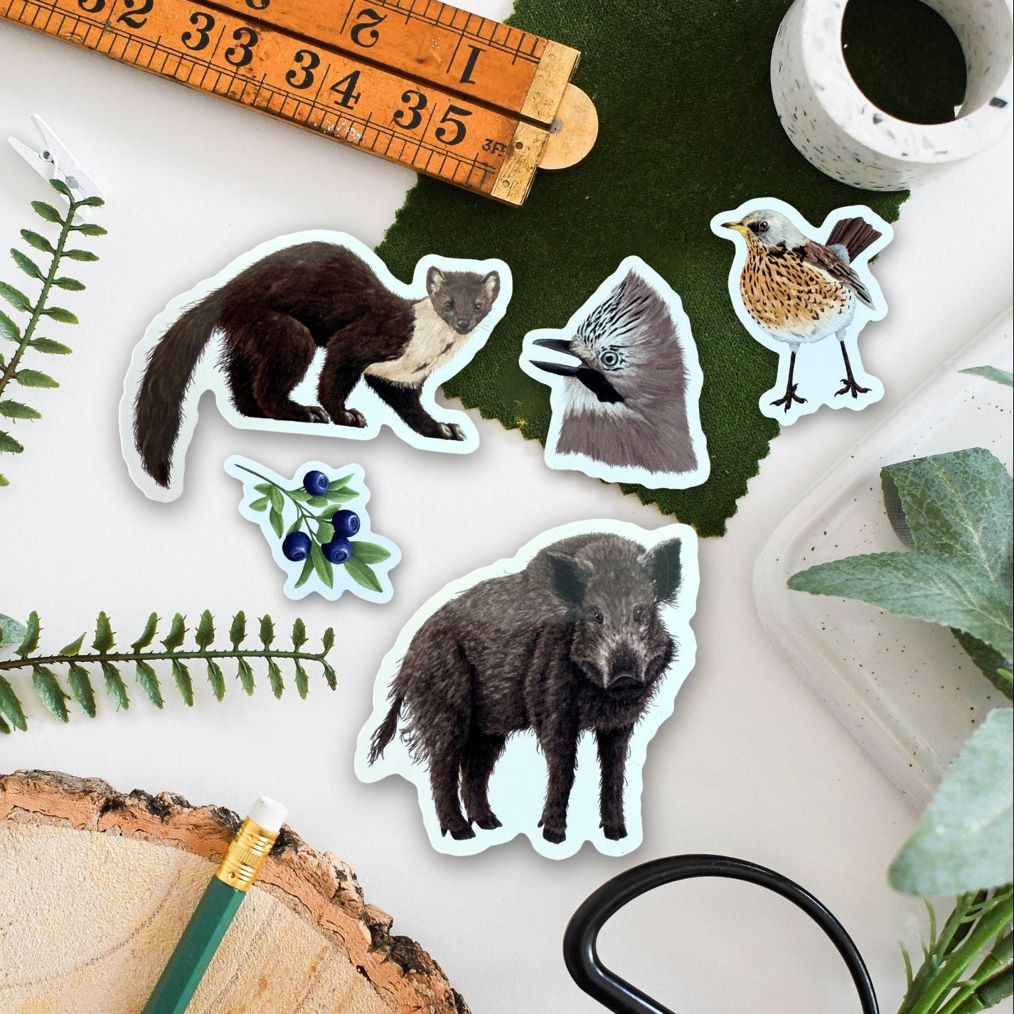 Seed Dispersing Wildlife Vinyl Sticker Pack – July 26 Edition