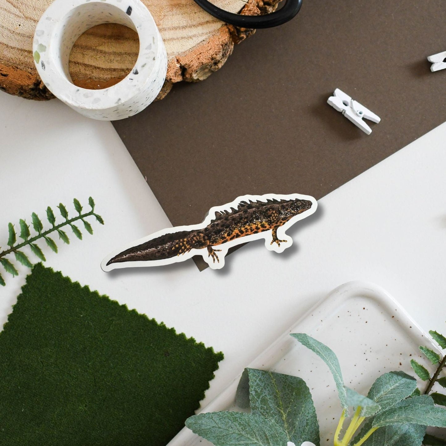 A die-cut sticker of a realistic newt sticker lies on a styled flat-lay surface with a white and brown background, surrounded by decorative props including a roll of washi tape, scissors, small clothespins, a green fabric swatch, and artificial leaves.