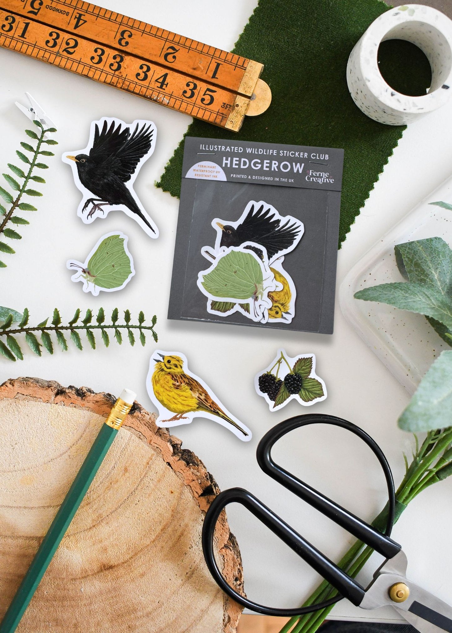 Hedgerow Wildlife Sticker Pack – November Edition