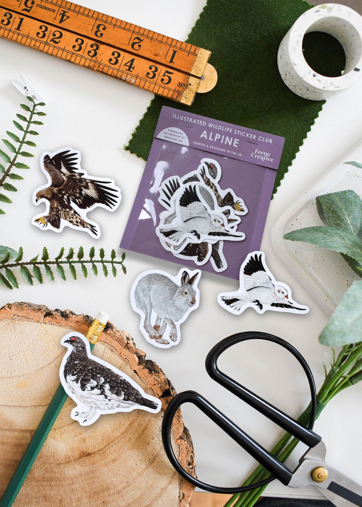 British Alpine Wildlife Sticker Pack – December Edition