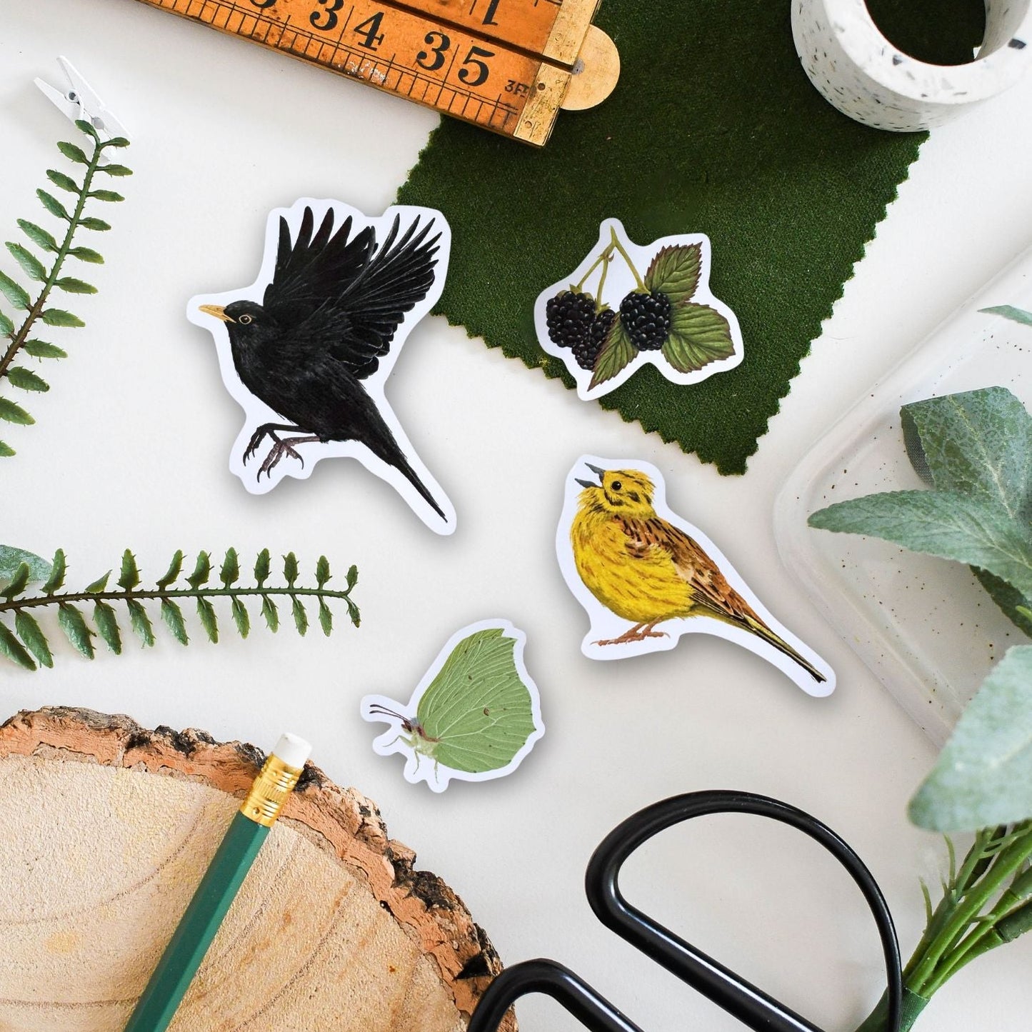Bird stickers on a surface with a ruler, scissors, and natural elements.