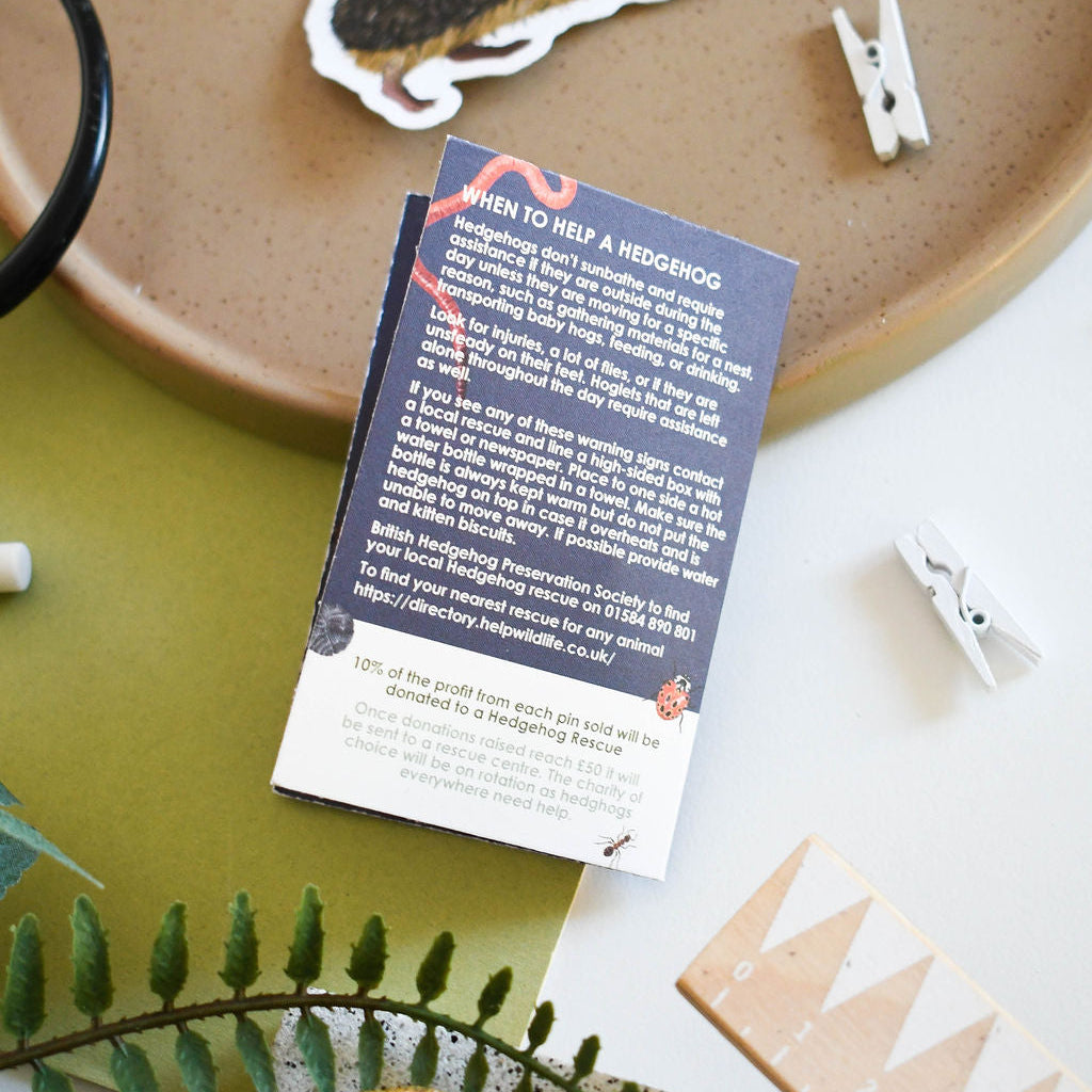 Card with hedgehog information on a decorative surface with plants.