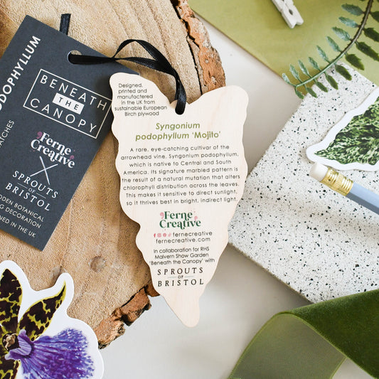 Syngonium leaf wooden decoration reverse with facts and decorative elements on a neutral background