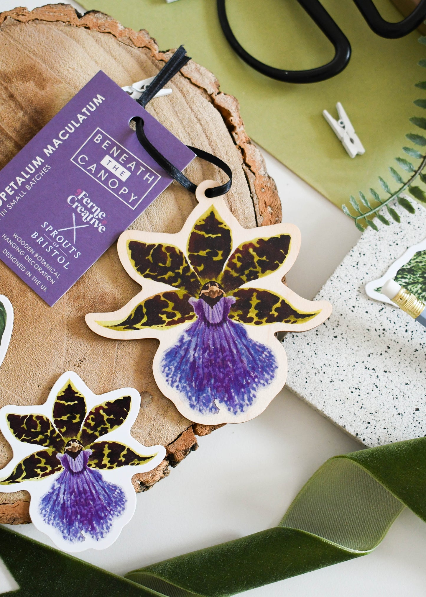 Wooden Orchid Decoration 'Zygopetalum maculatum'