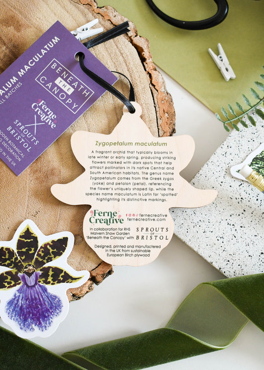 Wooden Orchid Decoration 'Zygopetalum maculatum'