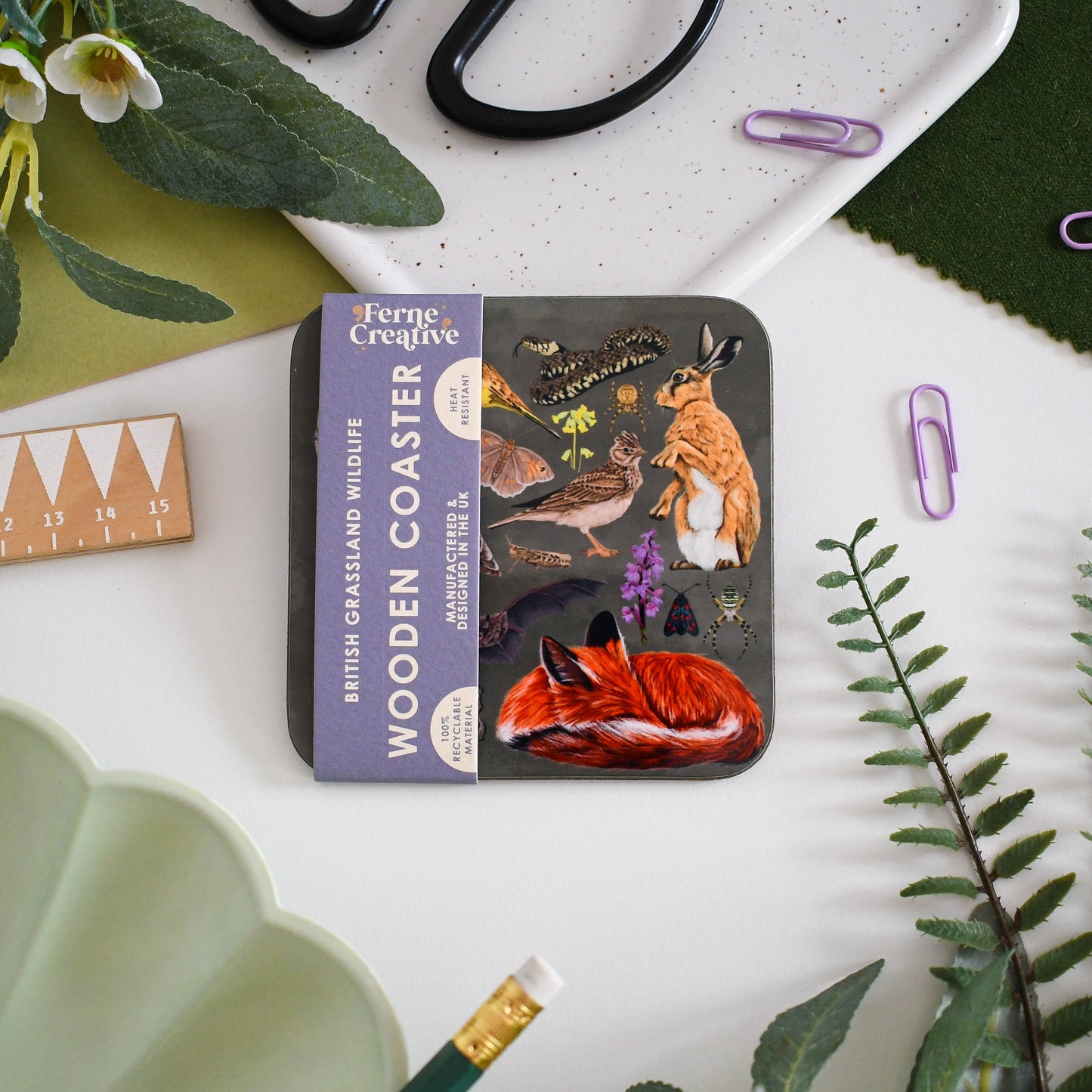 Illustrated Coaster Bundle of 4