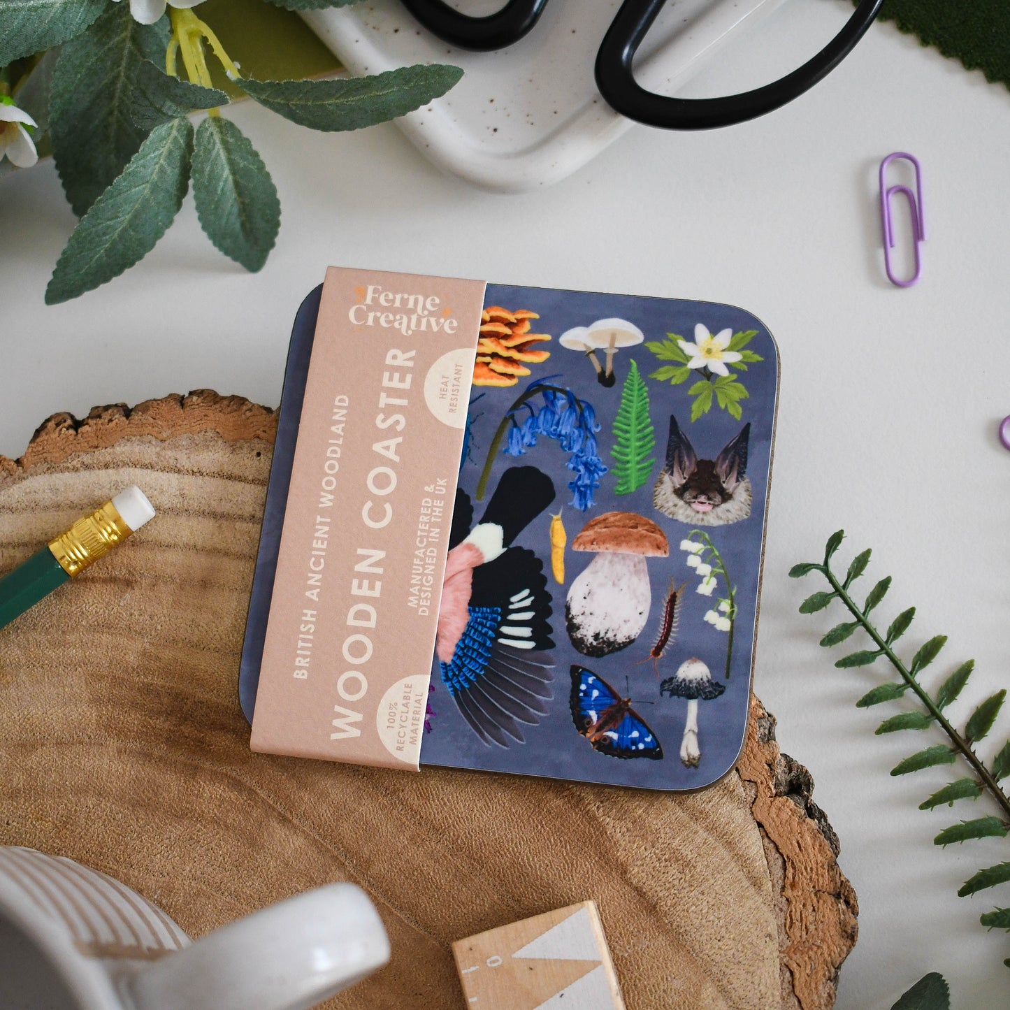 Illustrated Coaster Bundle of 4