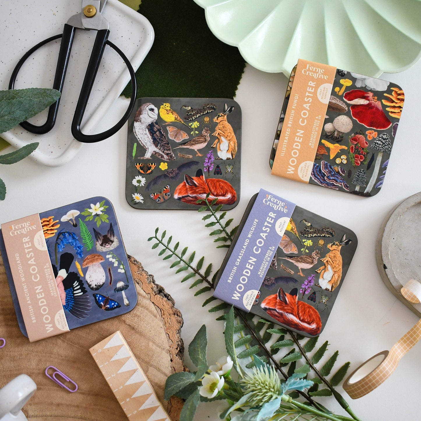 Illustrated Coaster Bundle of 4