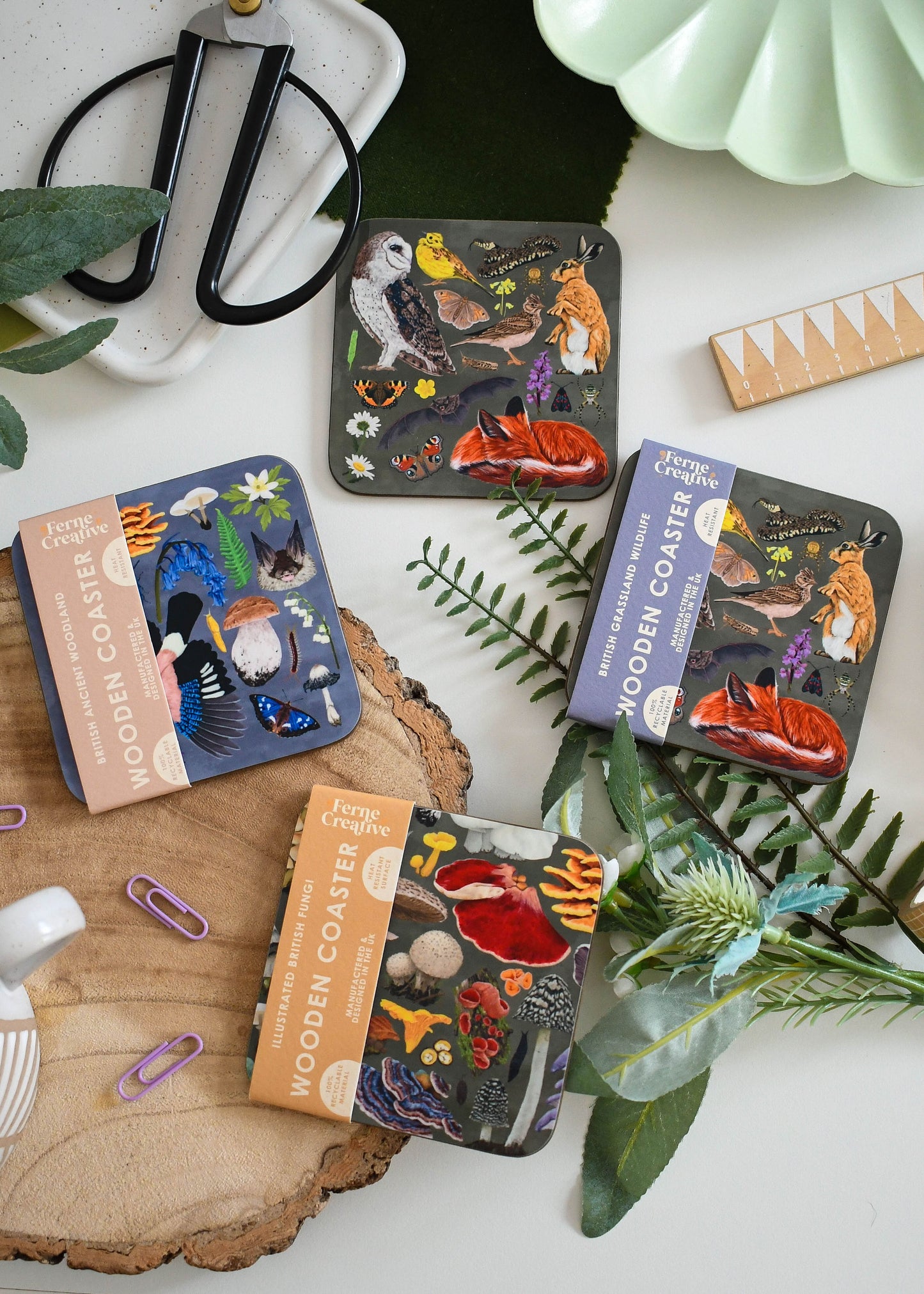 Illustrated Coaster Bundle of 4