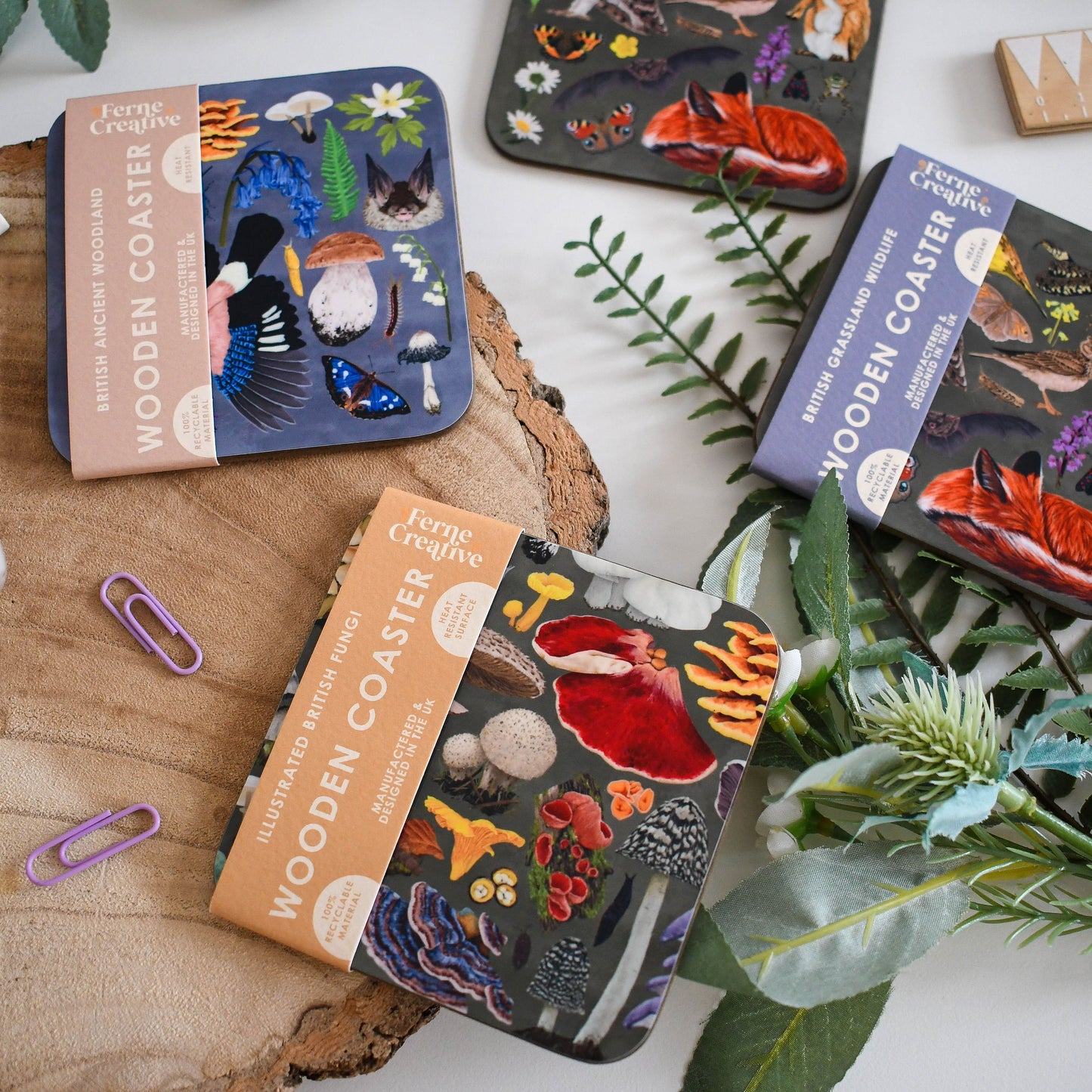 Illustrated Coaster Bundle of 4