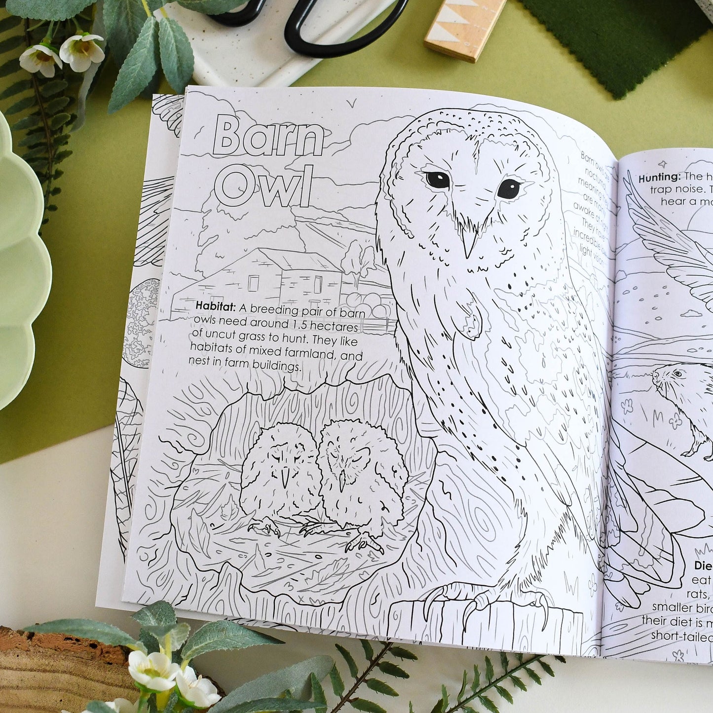 Coloring book open to a page with an owl illustration on a table with greenery and stationery items.