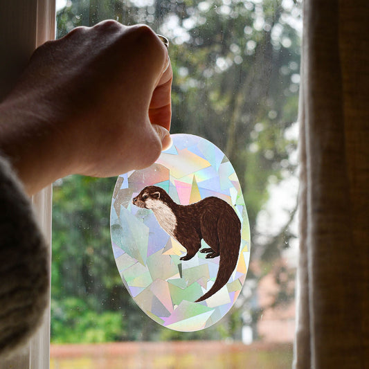 Eurasian Otter rainbow suncatcher decal being placed by hand on a window