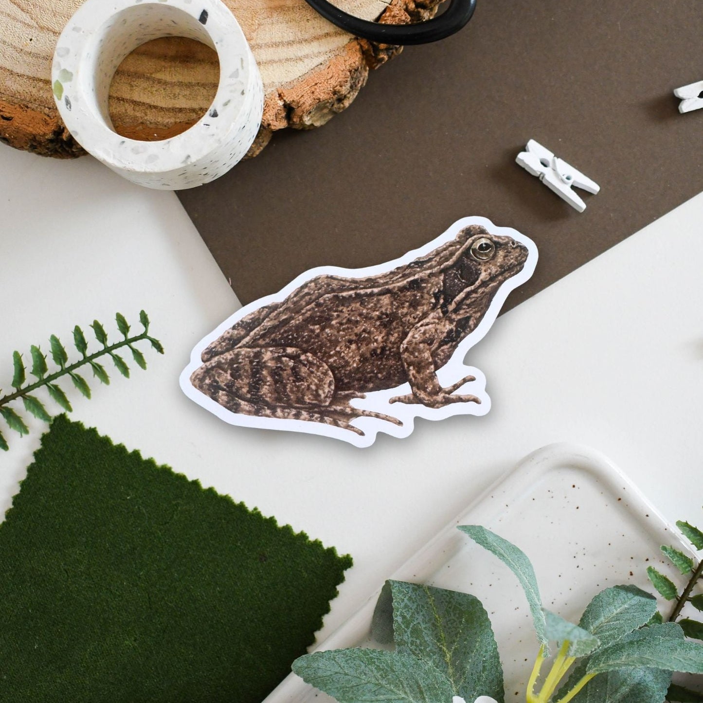 Sticker of a frog on a surface with plants and decor items