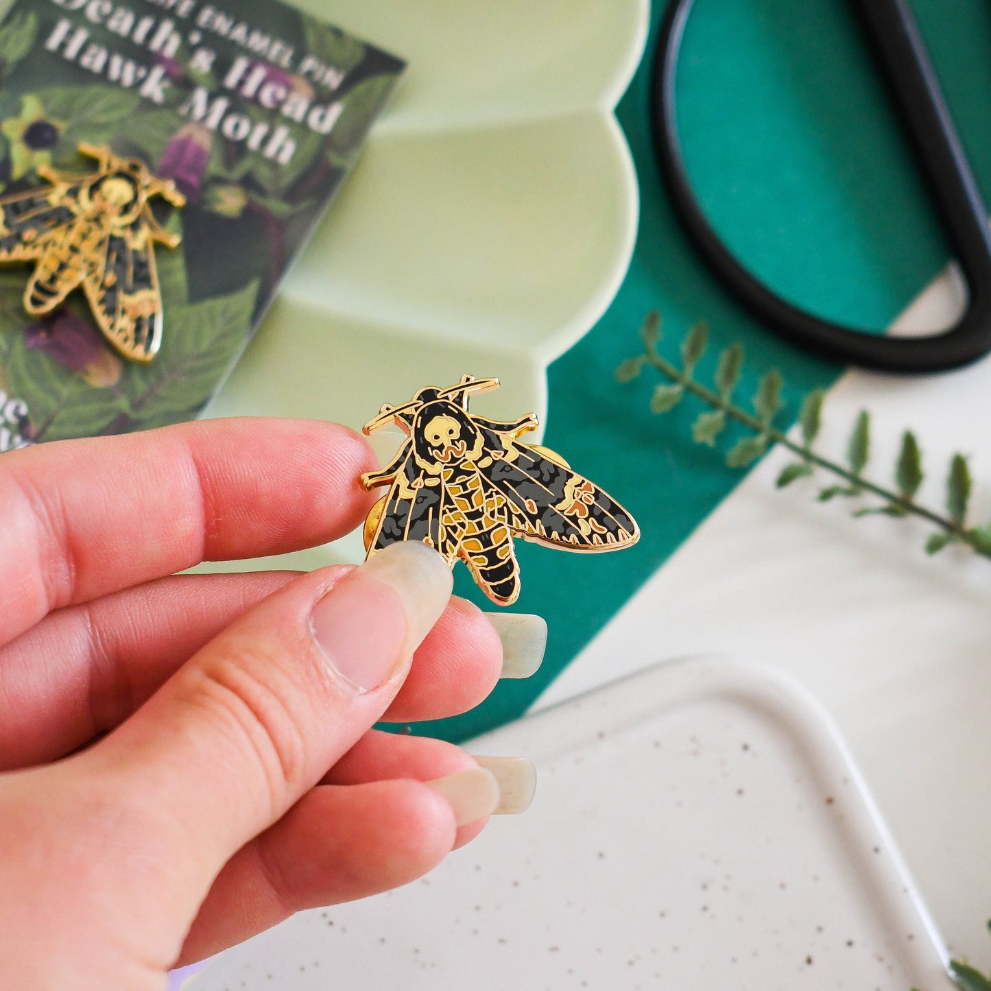 Hand holding Deaths head hawk-moth pin with a nature-themed card and scissors in the background.