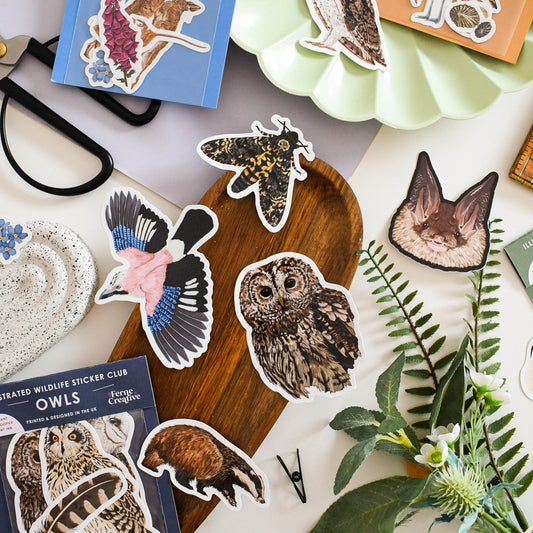 Sticker set of illustrated wildlife, including owls and other animals, on a white surface with nature-themed decor.